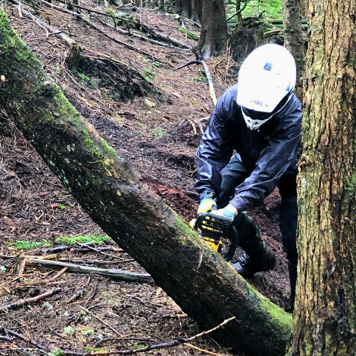 Cutting down log with saw